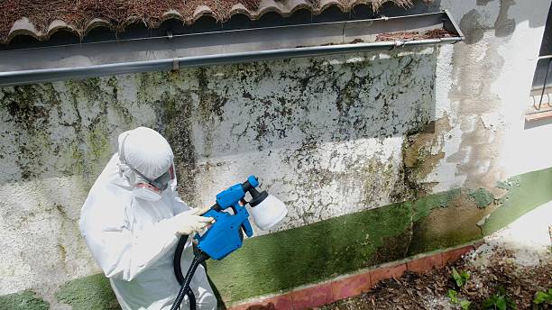Top rated local Mold Remediation specialists in Blue Ridge Summit, PA